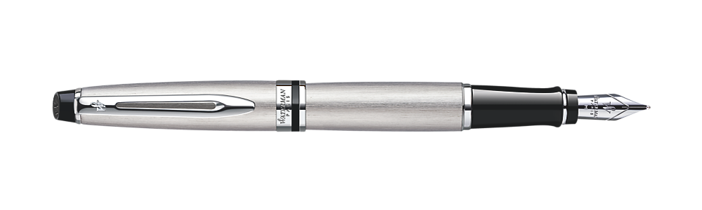 Waterman Expert Stainless Steel CT