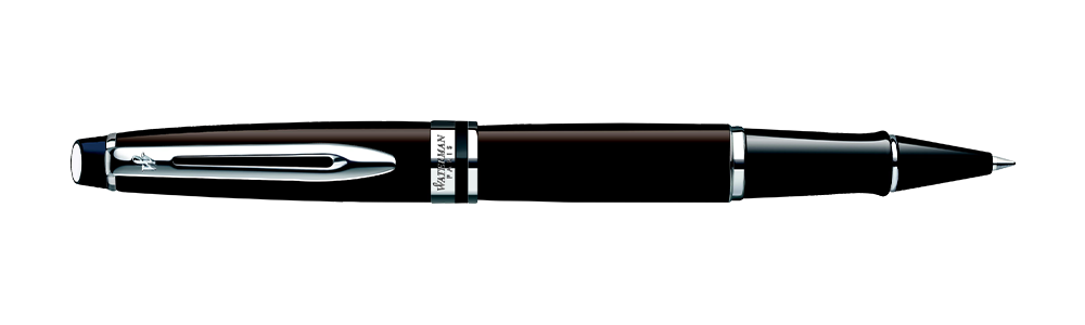 Waterman Expert Deep Brown CT