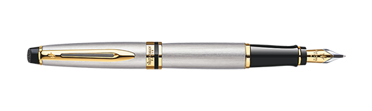 Waterman Expert Stainless Steel GT